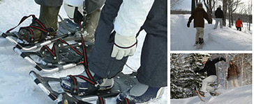 snow_shoe_image